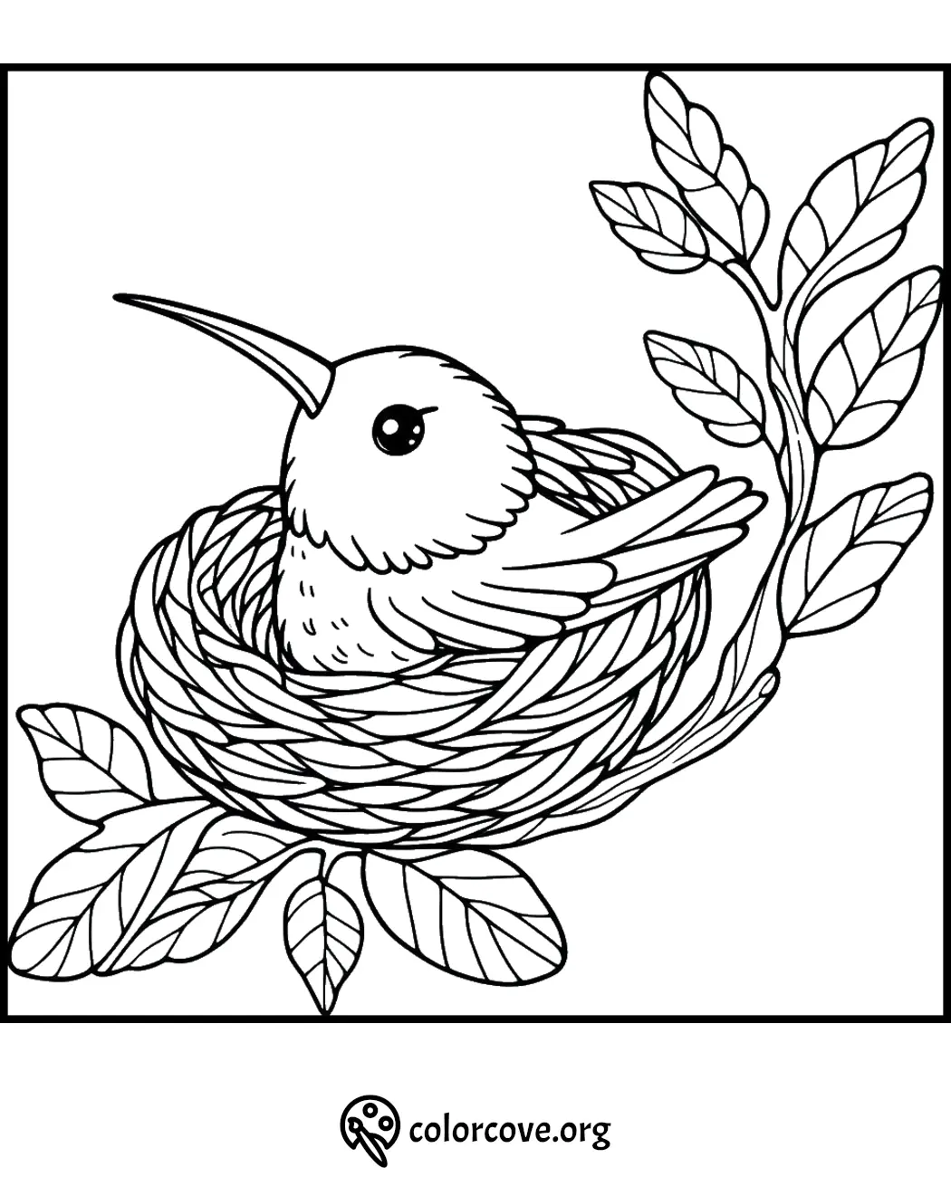 Hummingbird in a nest coloring page with leaves and intricate details for creative coloring fun.