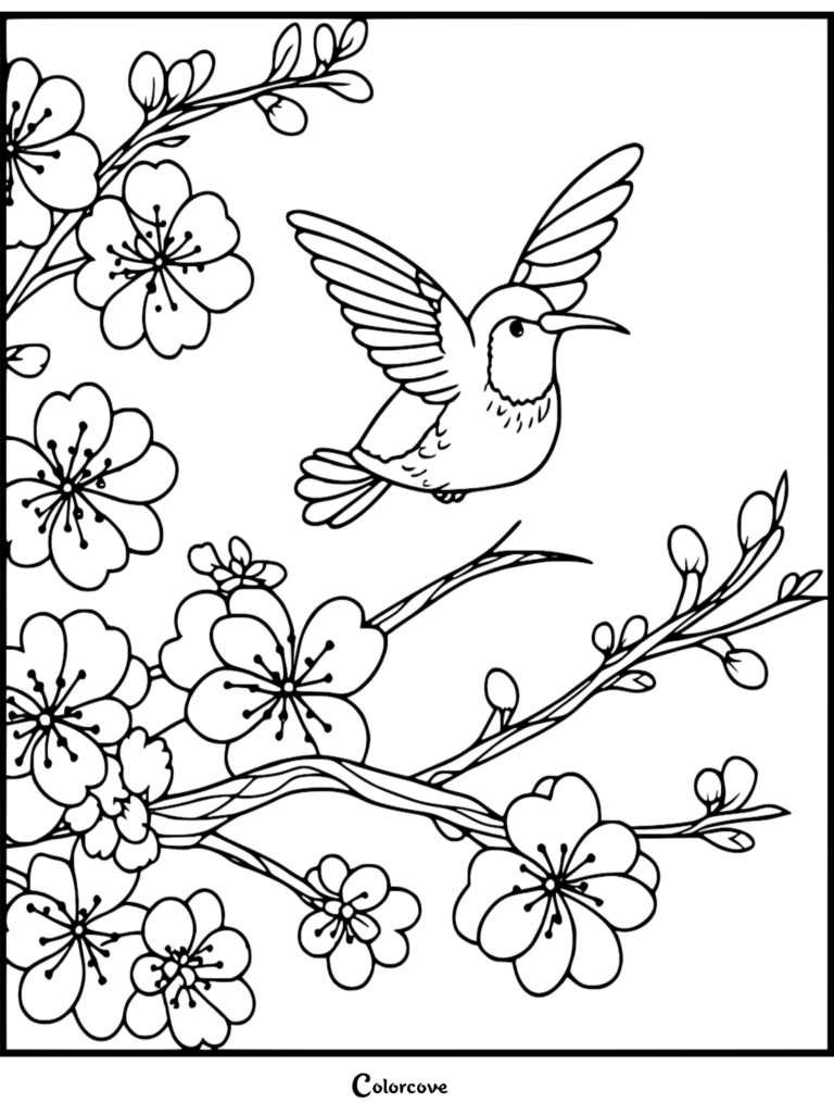 A hummingbird hovering near blooming cherry blossom branches in this free printable coloring page.