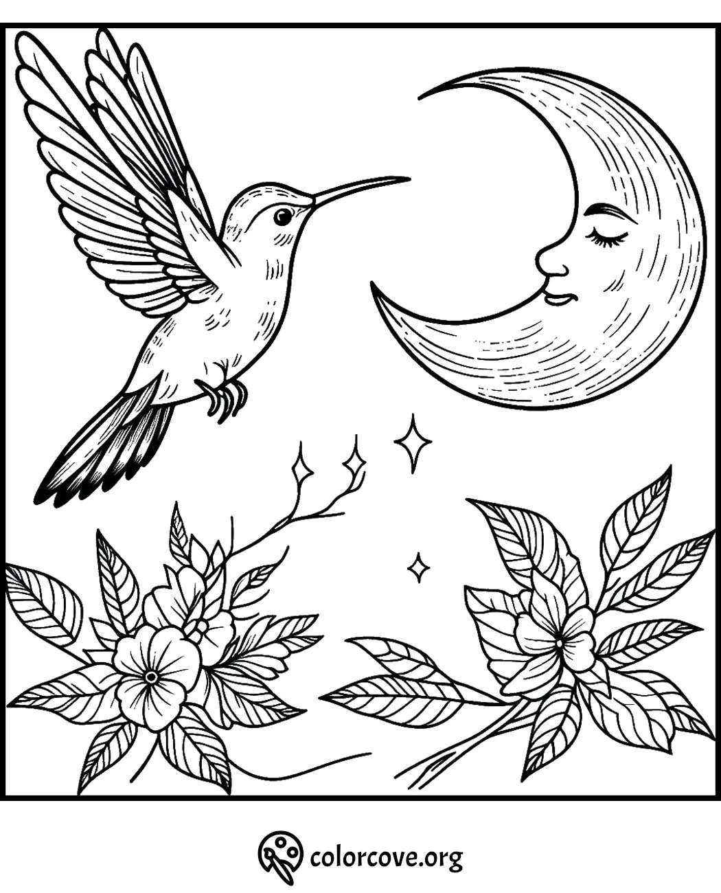 Hummingbird and crescent moon coloring page with flowers and stars.