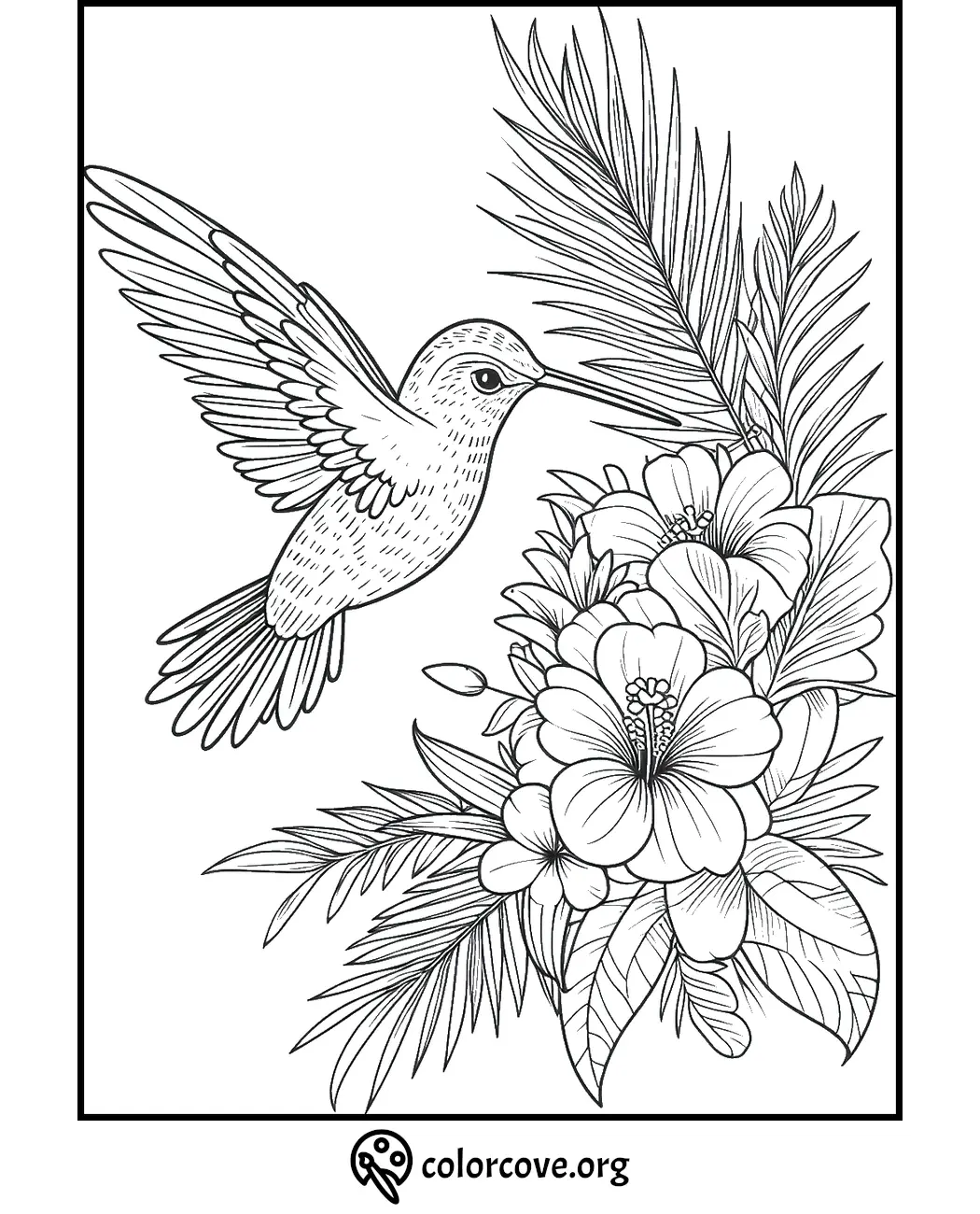 Hummingbird and tropical flowers coloring page, detailed line art for adults and kids, printable nature design.