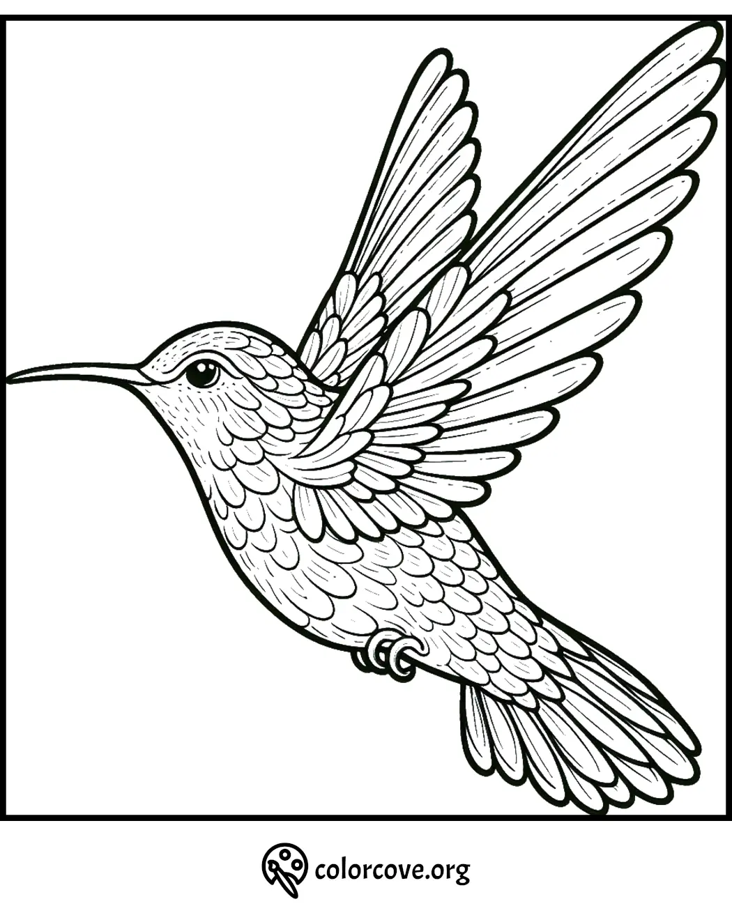 Line art hummingbird coloring page, detailed feathers and wings for stress relief and creativity.