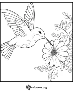 Hummingbird and flower coloring page for kids and adults, printable stress relief activity.