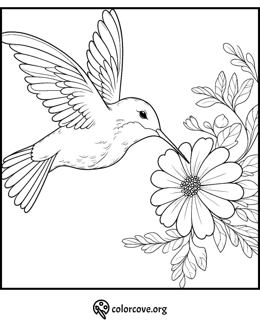 Hummingbird and flower coloring page for kids and adults, printable stress relief activity.