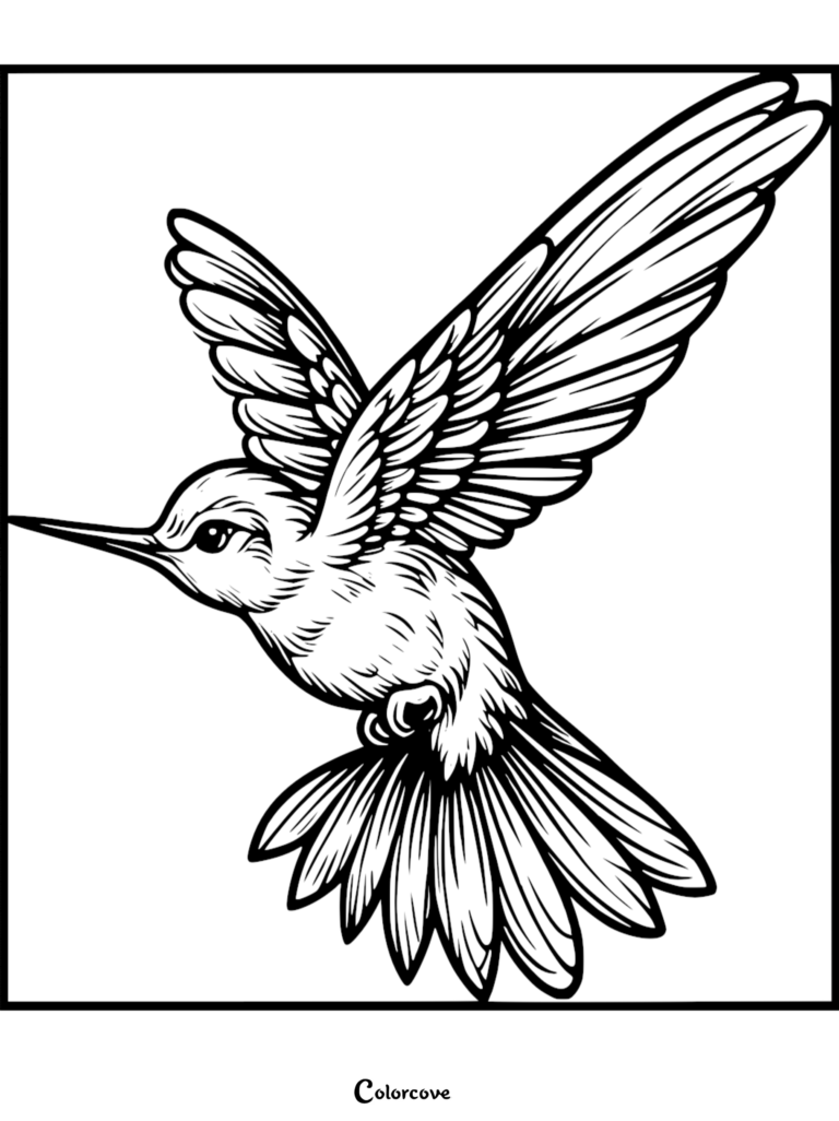 A detailed hummingbird coloring page featuring a bird in mid-flight with wings spread wide and feathers clearly defined.