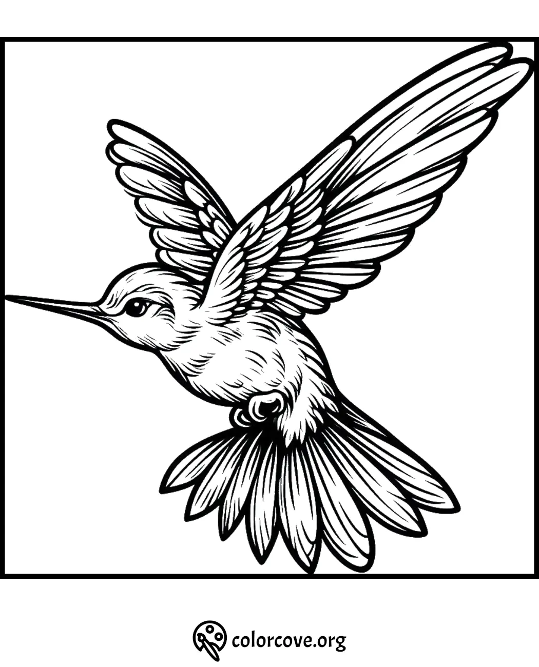 Black and white hummingbird coloring page for kids and adults. Perfect for art and creativity.