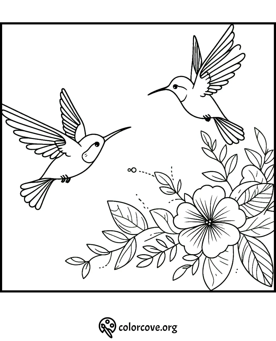 Hummingbird coloring page with two birds and floral design, perfect for nature-inspired art activities for kids.