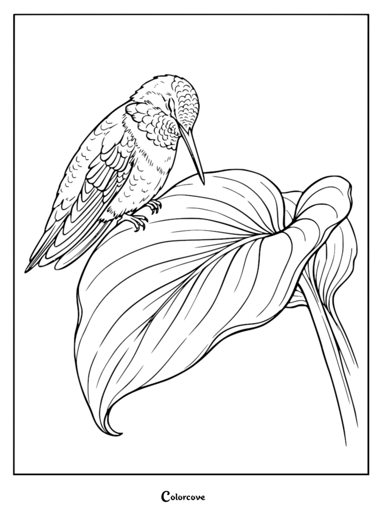 A detailed hummingbird coloring page featuring a bird perched on a large leaf.