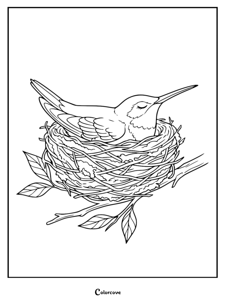 A peaceful hummingbird resting in a woven nest on a tree branch, presented as a free printable coloring page.