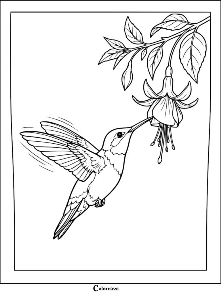 Hummingbird hovering to drink nectar from a fuchsia flower in this printable coloring page.
