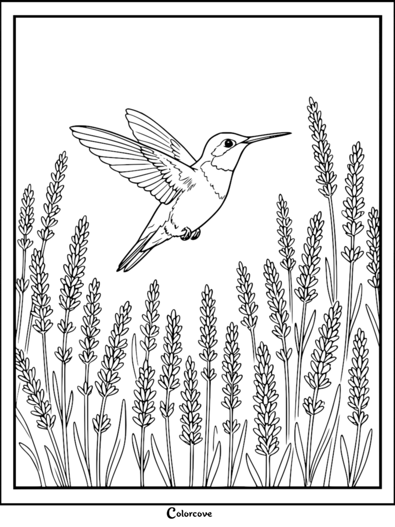 Hummingbird hovering over a field of lavender flowers in this printable coloring page.