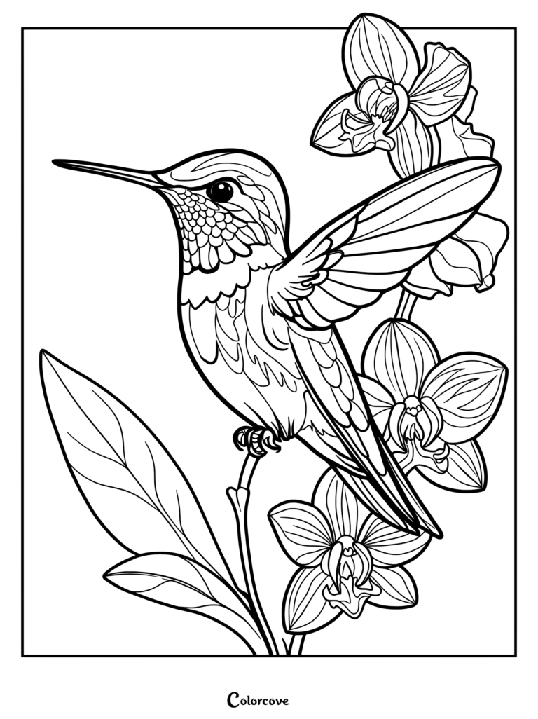 A detailed line art coloring page featuring a hummingbird perched on a stem with three blooming orchid flowers and large leaves.