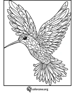 Hummingbird coloring page with detailed wings and feathers for kids and adults to color and enjoy.
