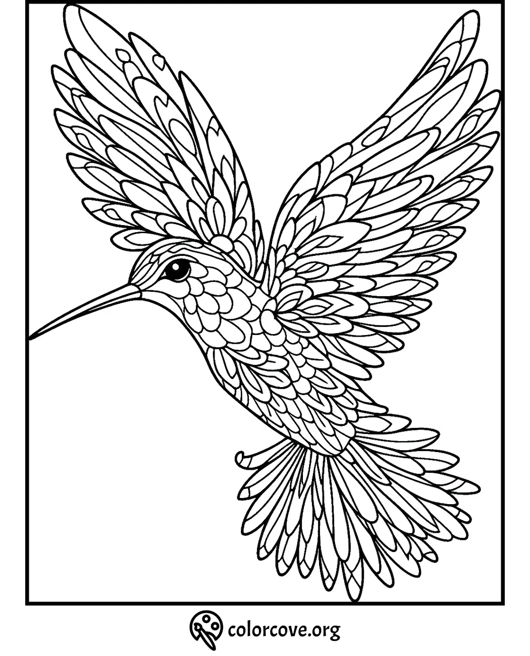 Hummingbird coloring page with detailed wings and feathers for kids and adults to color and enjoy.