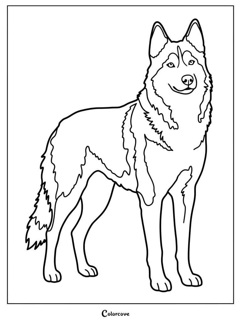 A majestic Siberian husky stands proudly in this detailed printable coloring page.