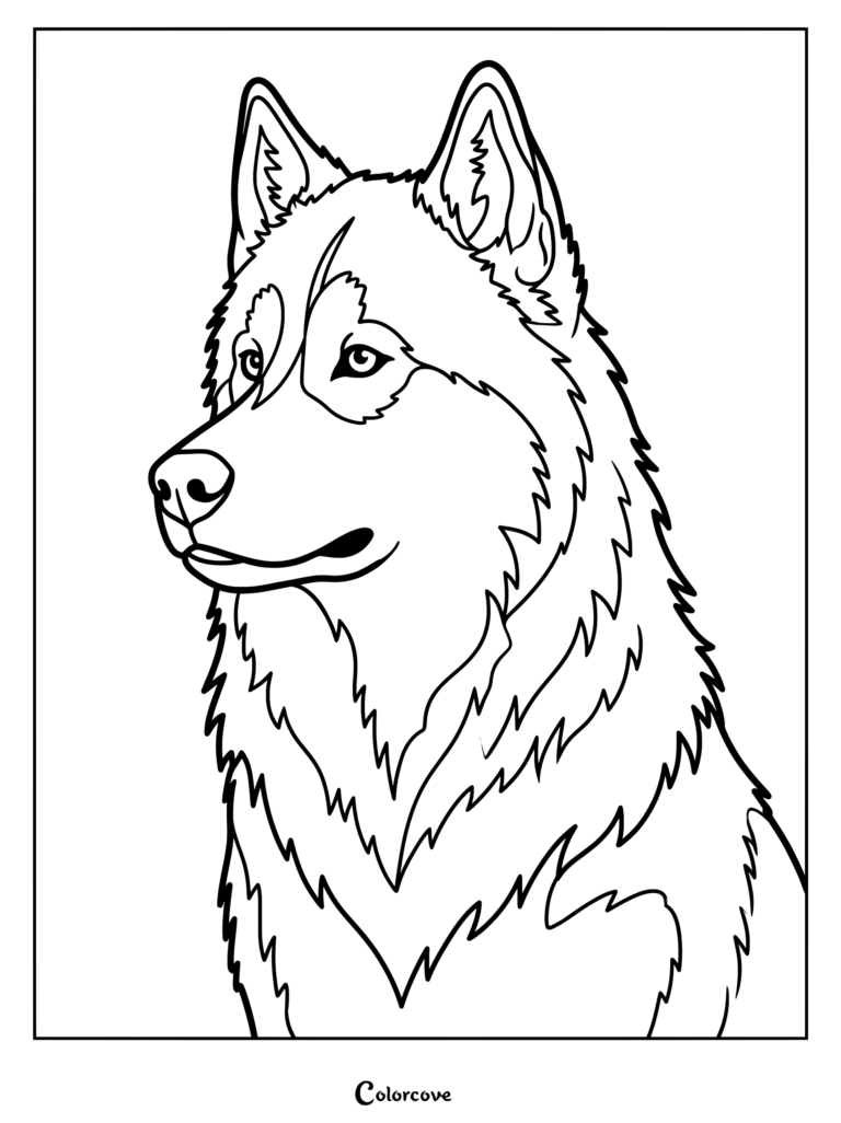 Detailed line art of a Husky coloring page featuring a proud dog portrait