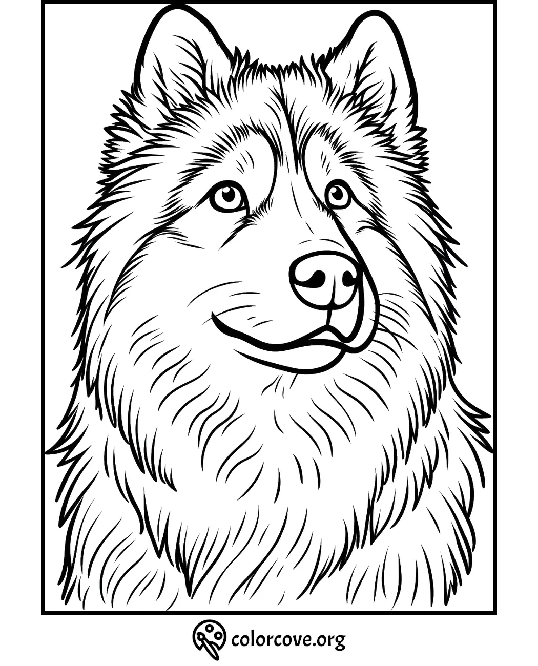 Coloring page of a fluffy dog with detailed fur lines, perfect for kids and adults.