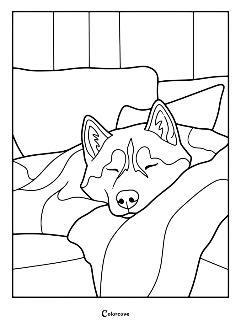 A sweet husky dog resting peacefully on a cozy couch for a printable coloring page