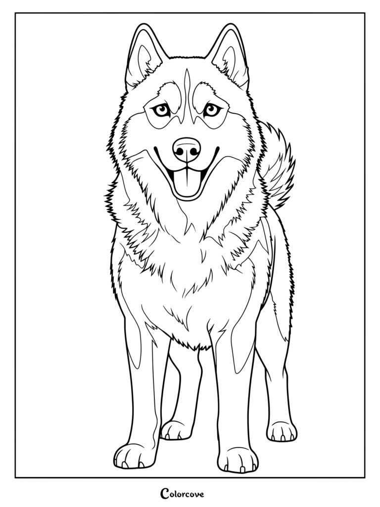A friendly Siberian Husky standing proudly with its mouth open, designed as a free printable coloring page