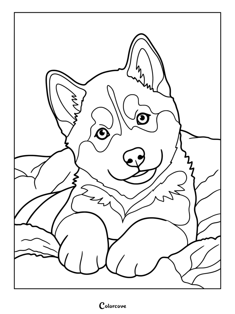 A cute husky puppy lying down on blankets coloring page for kids