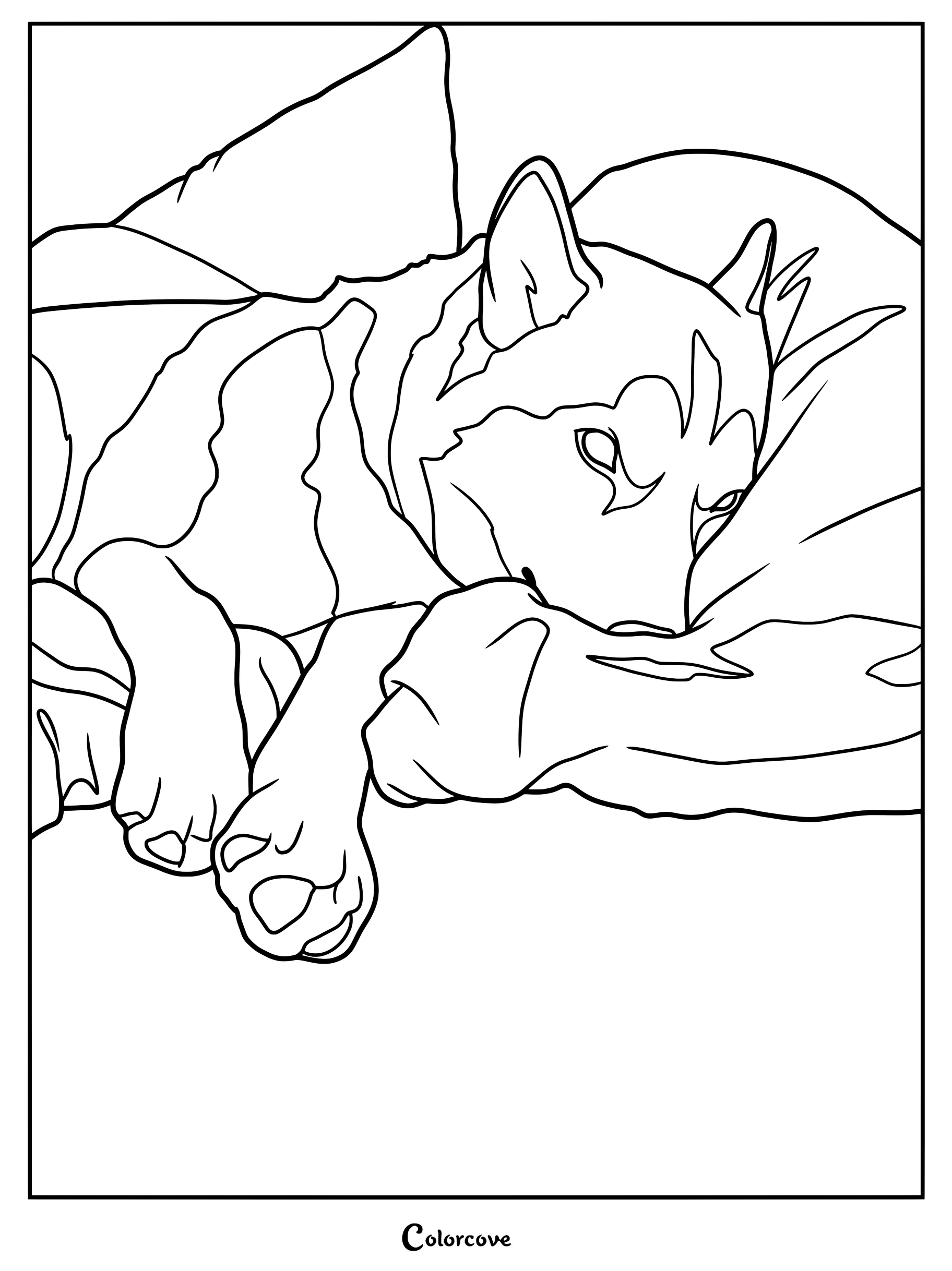 A printable coloring page of a cute husky dog resting comfortably on a soft pillow.