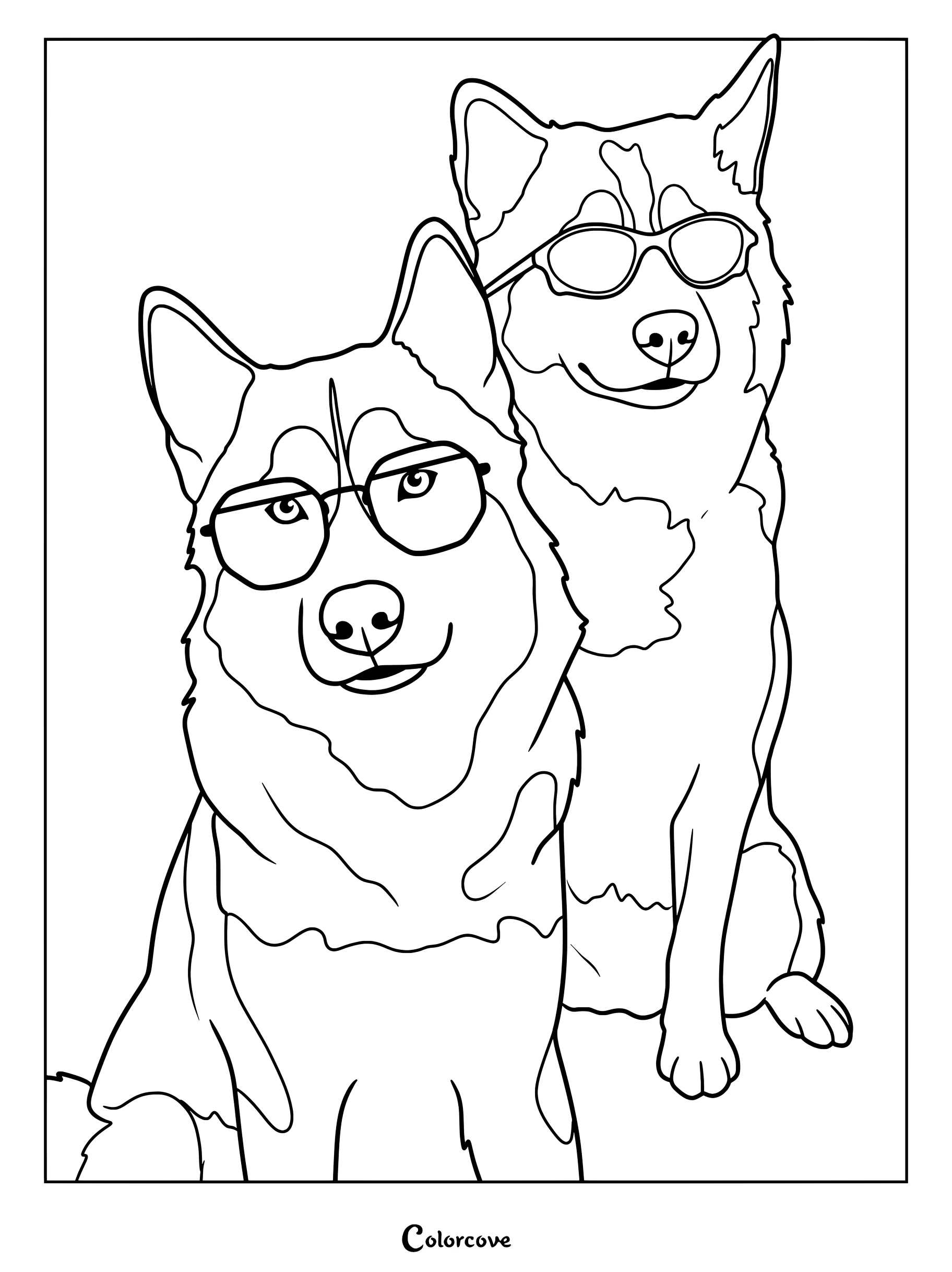Two Siberian Huskies wearing stylish glasses in an outline illustration designed as a coloring page.
