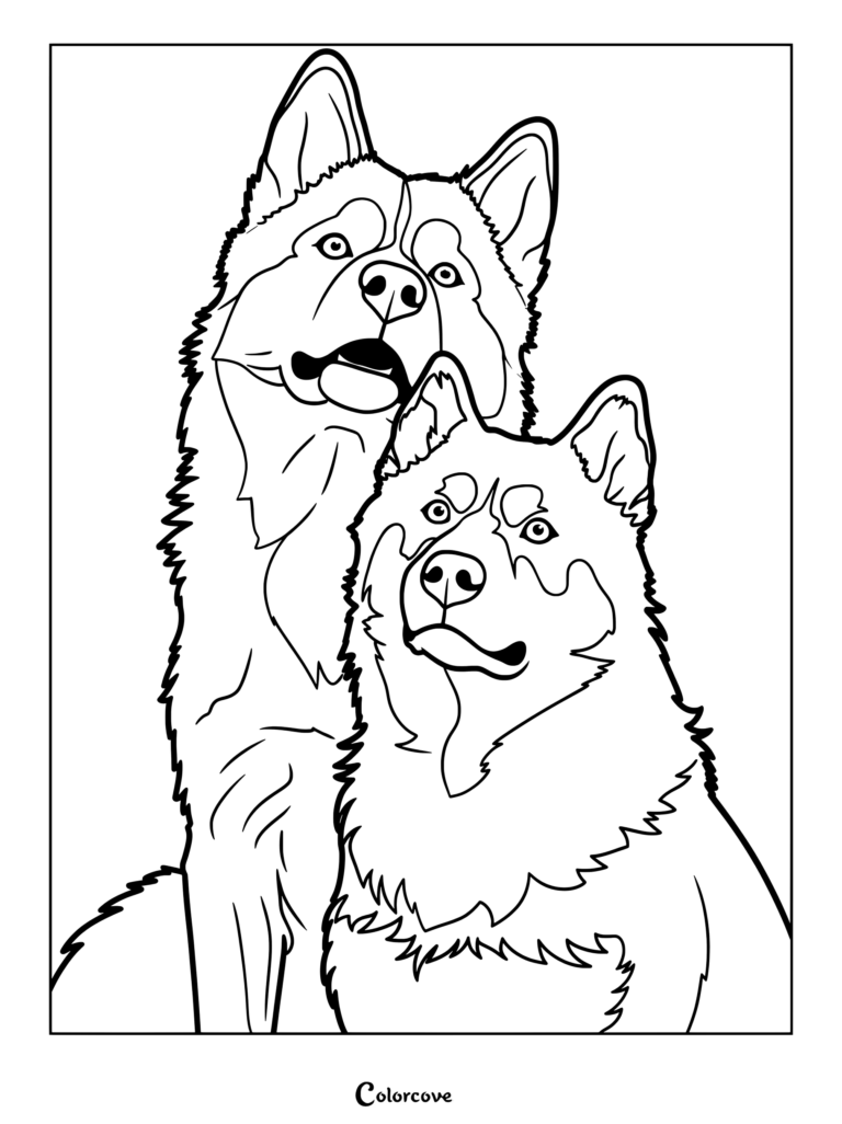 A printable coloring page featuring two friendly Huskies standing closely together with happy expressions