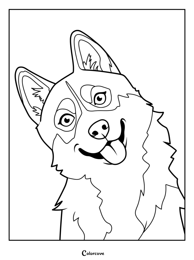 A friendly Husky dog smiling with tongue out in this printable coloring page