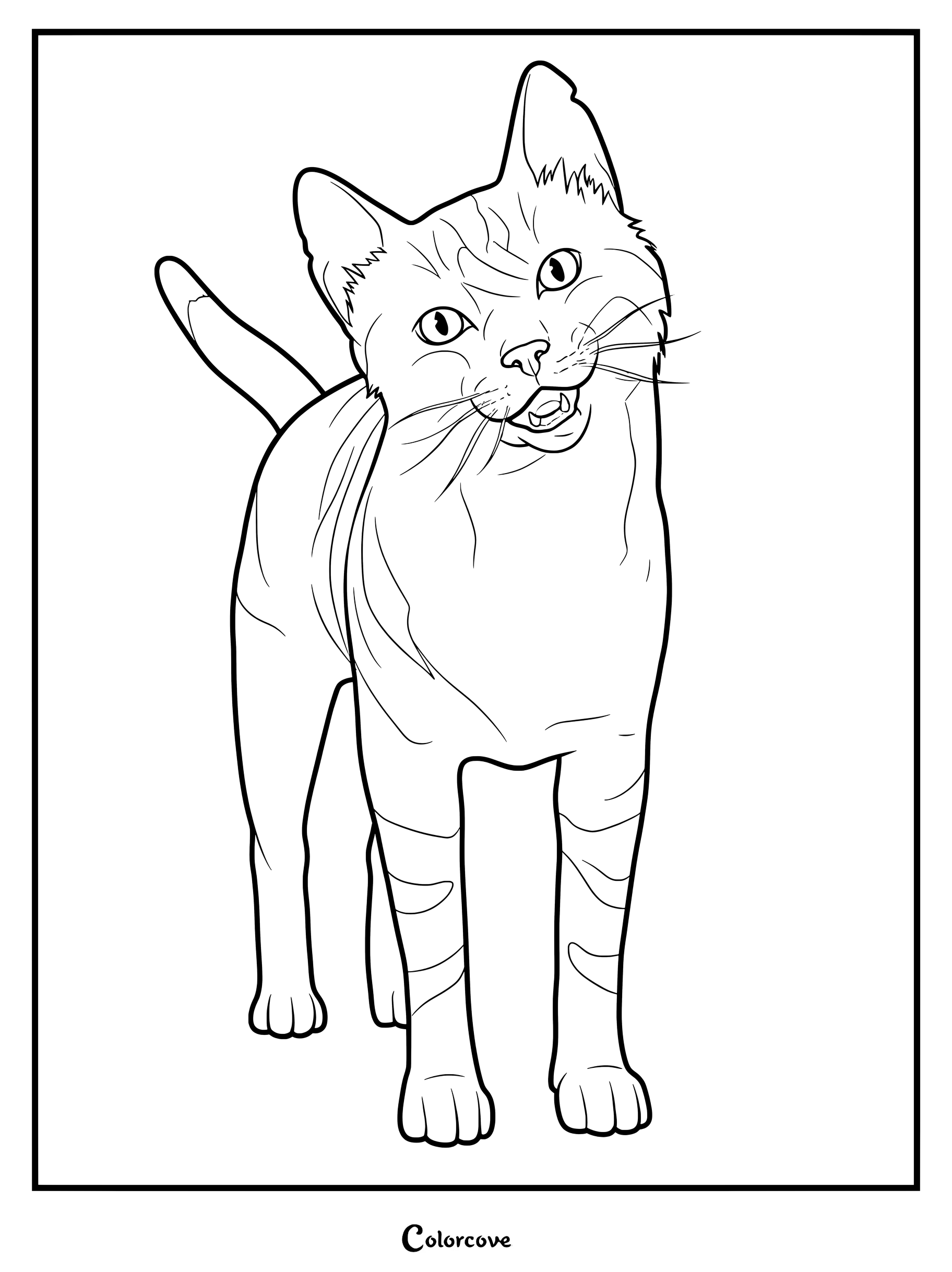 A medium difficulty coloring page featuring a friendly cat from Indigo Park standing and looking forward.