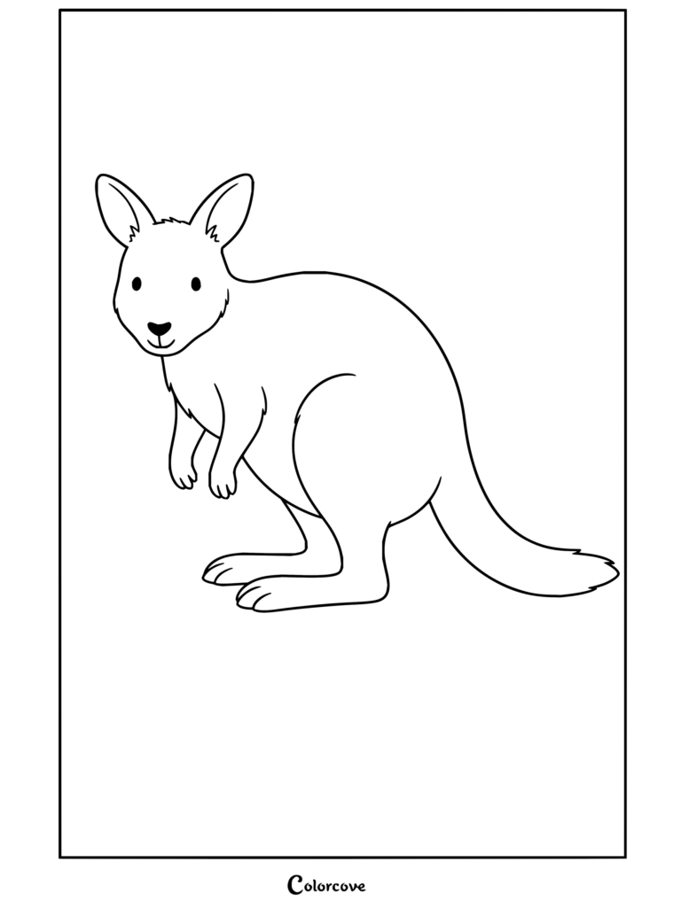 Un dibujo para colorear imprimible de un ualabí de brida de pie sobre un fondo blanco con temática de Canguro y Animales Australianos.