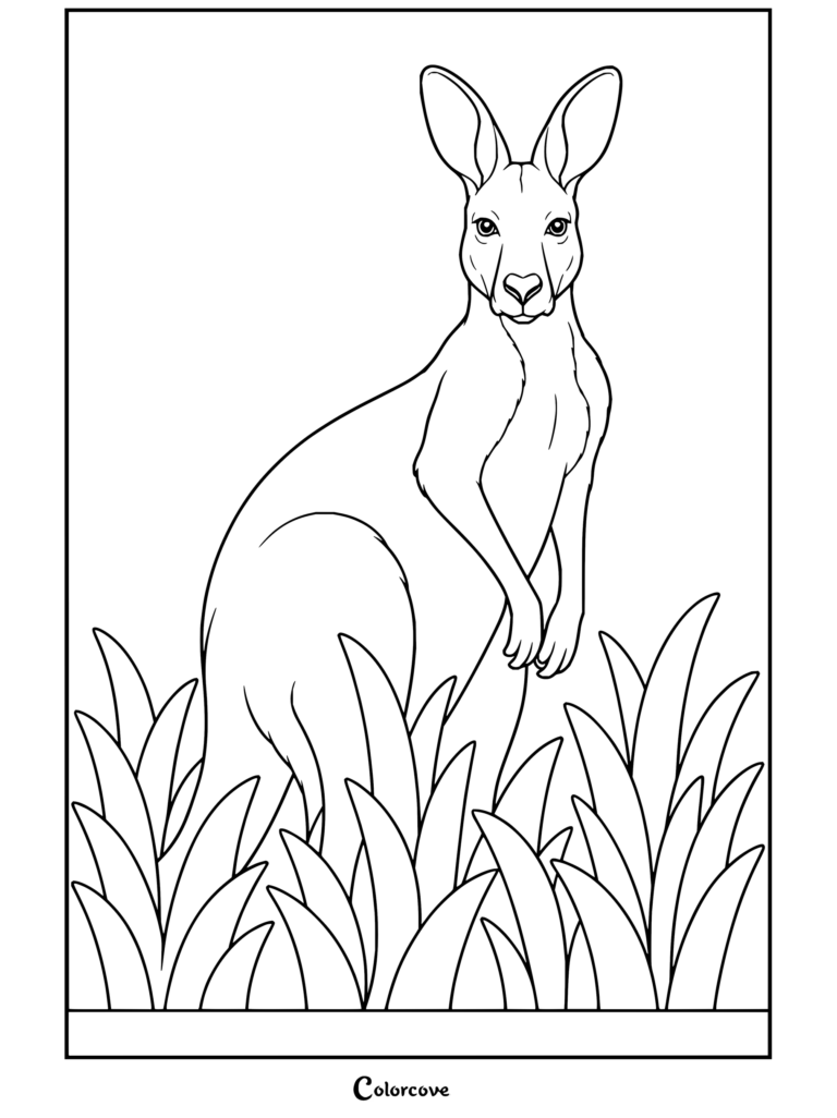 Dibujo para colorear de Canguro y Animales Australianos con un canguro de pie entre hierba alta.