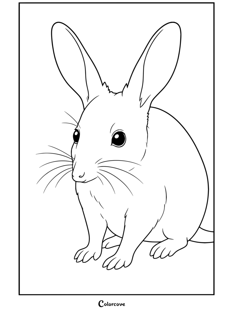 Un dibujo para colorear imprimible de un bilby mayor sentado en la arena roja del Outback australiano para fanáticos de Canguro y Animales Australianos.