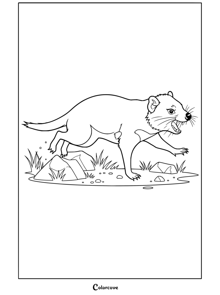Dibujo para colorear de un demonio de Tasmania corriendo enfadado sobre las rocas en el Outback australiano con un feroz marsupial para fanáticos de Canguro y Animales Australianos.