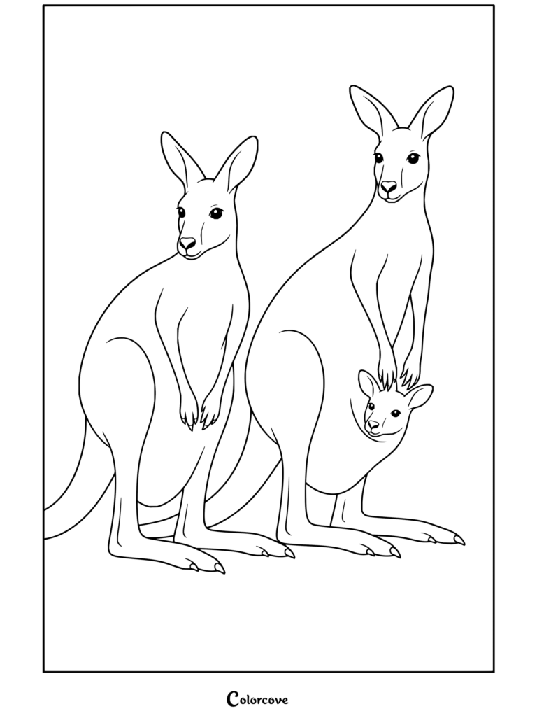 Un dibujo para colorear de dos canguros en la hierba con una cría de canguro en la bolsa marsupial para fanáticos de Canguro y Animales Australianos.
