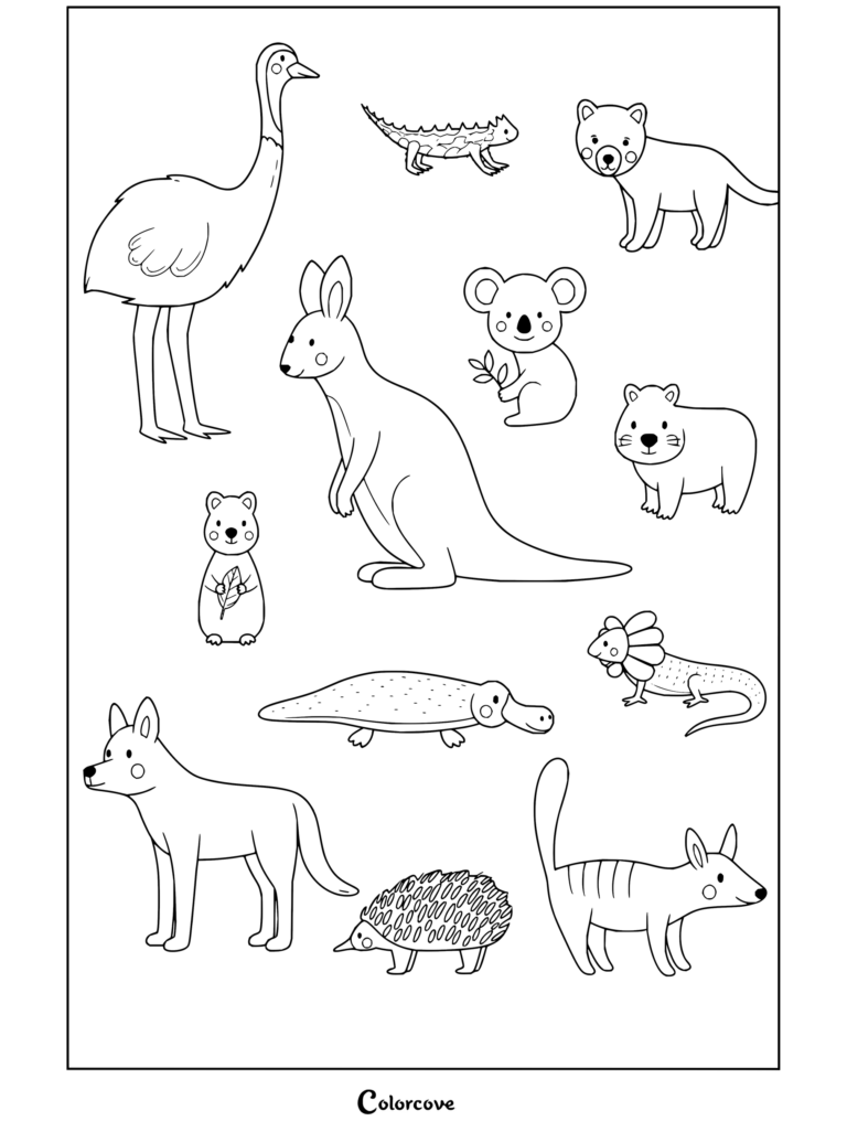 Dibujo para colorear de un tierno conjunto animado de animales australianos con un canguro, emú, koala y otra fauna autóctona.
