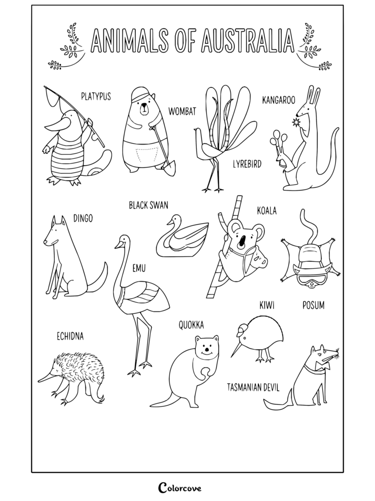 Dibujo para colorear gratuito e imprimible con diseño vectorial de divertidos animales y aves australianos de zoológico, incluyendo canguro, koala, ornitorrinco, wombat, ave lira, dingo, cisne negro, emú, equidna, quokka, kiwi, pósum y demonio de Tasmania.