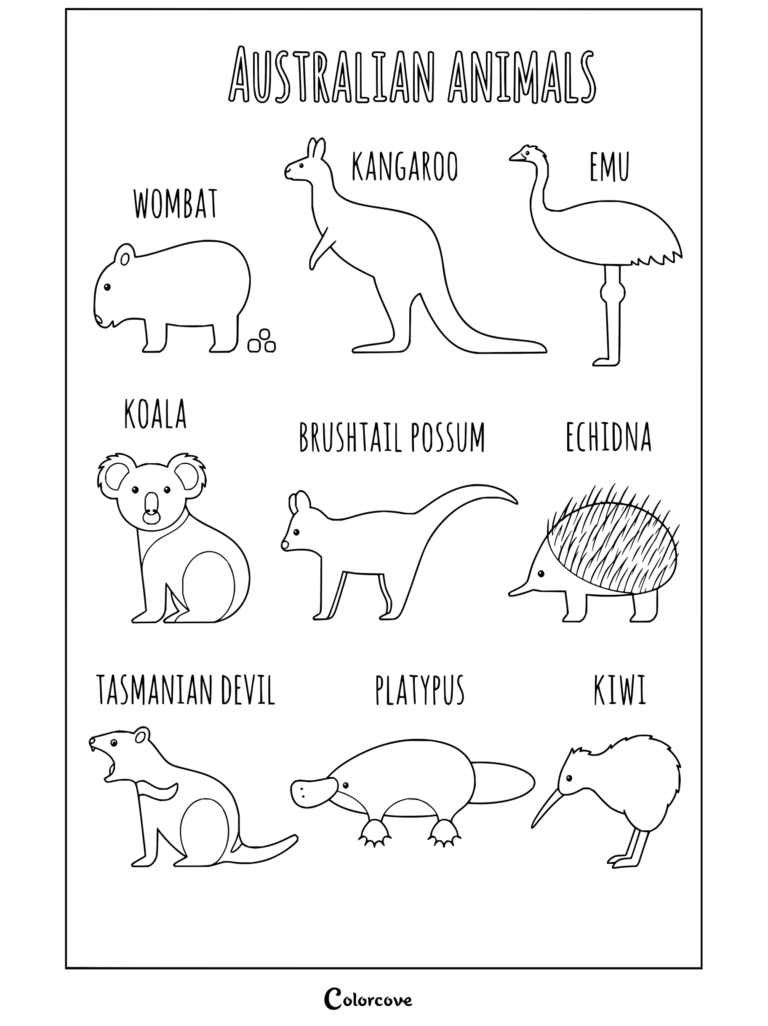 Un educativo dibujo para colorear de animales australianos con un wombat, canguro, emú, koala, pósum de cola de cepillo, equidna, demonio de Tasmania, ornitorrinco y kiwi.