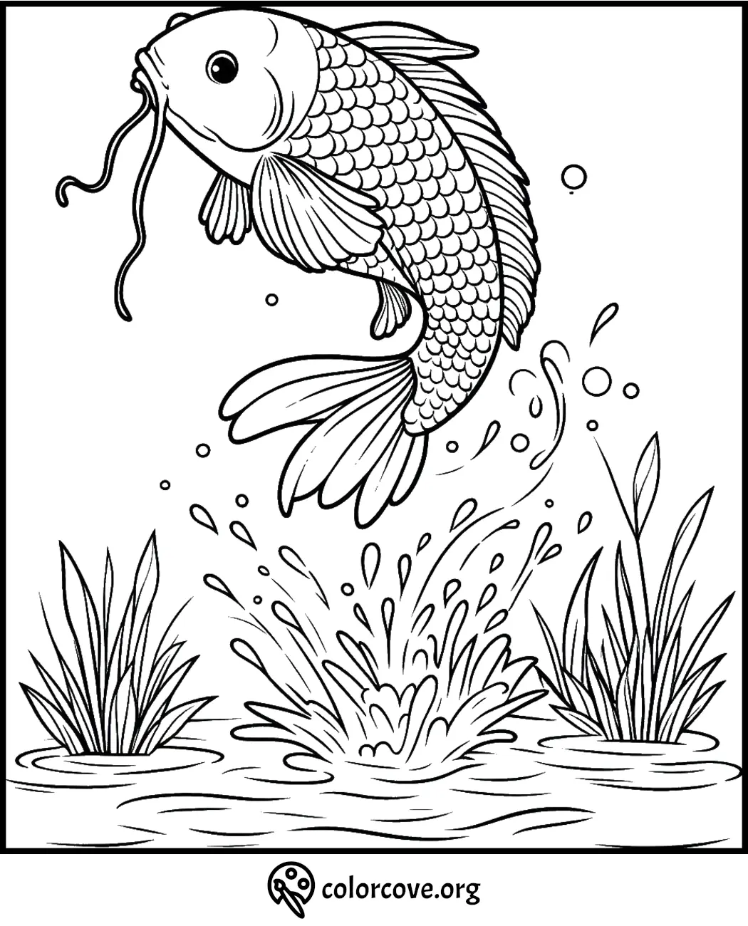 Koi fish leaping from water coloring page with splash and reeds. Download and print for a relaxing art activity.