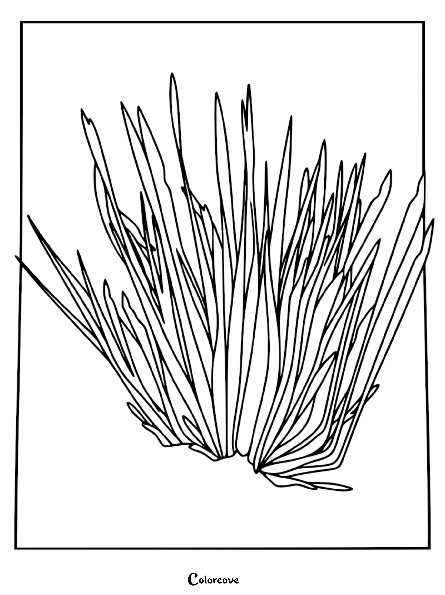 A detailed line art coloring page of the Vain Shroud plant from Lethal Company, featuring long, sharp, blade-like leaves.