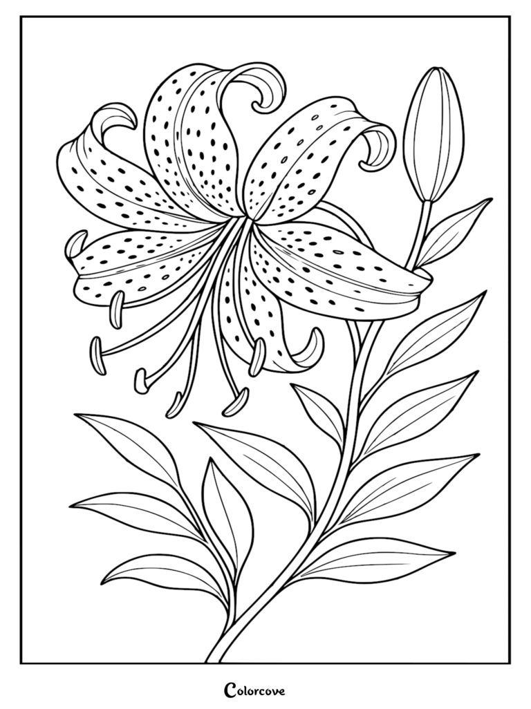 A detailed tiger lily coloring page featuring a large, spotted recurved flower with stamens, a closed bud, and lush green leaves on a stem.
