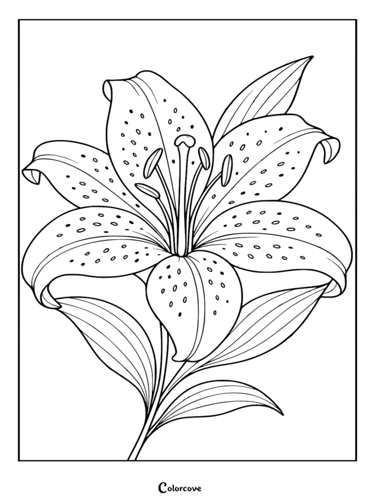 A detailed line art coloring page featuring a blooming lily with intricate spots on its curved petals and long prominent stamens.