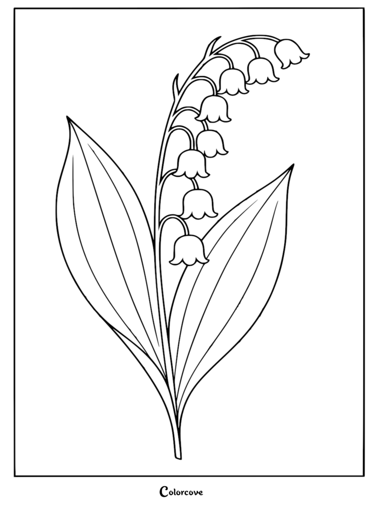 A delicate lily of the valley coloring page featuring a slender stem with hanging bell-shaped flowers and two large, pointed leaves.