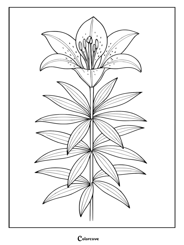 A detailed botanical coloring page featuring a single lily flower with speckled petals, prominent stamen, and a stalk covered in multiple slender, pointed leaves.