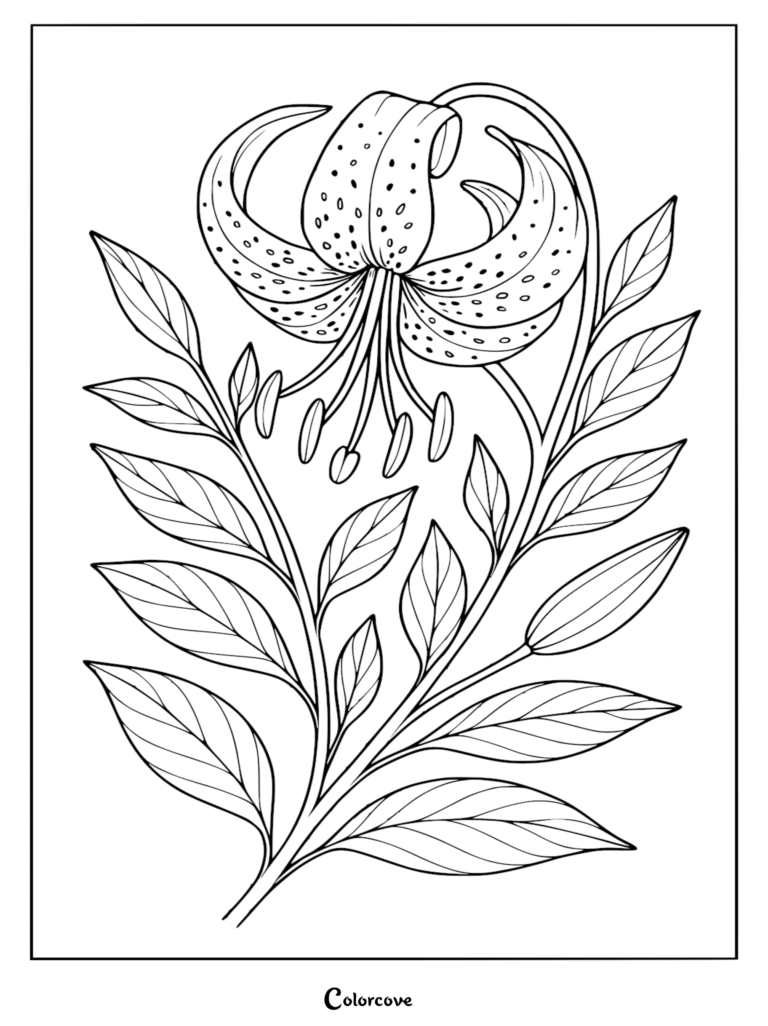 A detailed tiger lily coloring page with spotted recurved petals and lush green leaves on a stem.