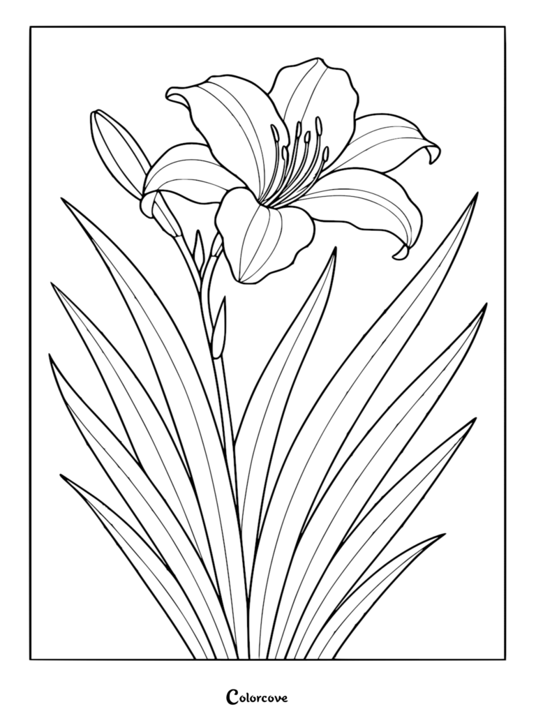 A printable lily flower coloring page featuring a detailed bloom with long, slender leaves and a single unopened bud.