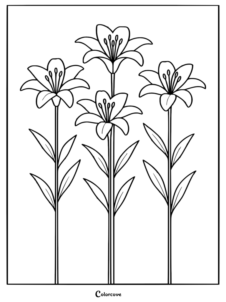 A simple black and white line art coloring page featuring three elegant lilies on long stems with slender leaves.