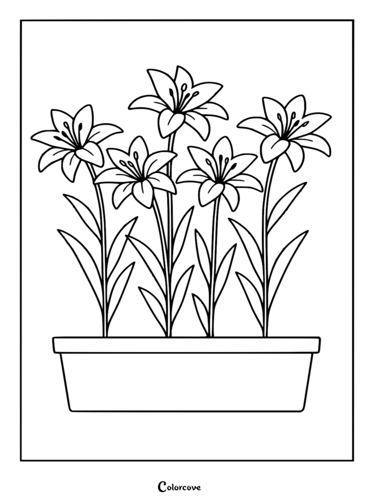 A simple black and white coloring page featuring four blooming lilies planted in a rectangular planter box.