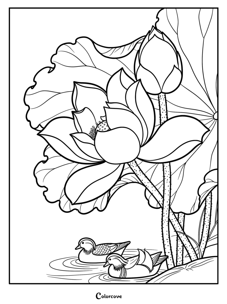 Two Mandarin ducks swimming in a pond beneath a blooming lotus flower and a closed bud, detailed line art coloring page.
