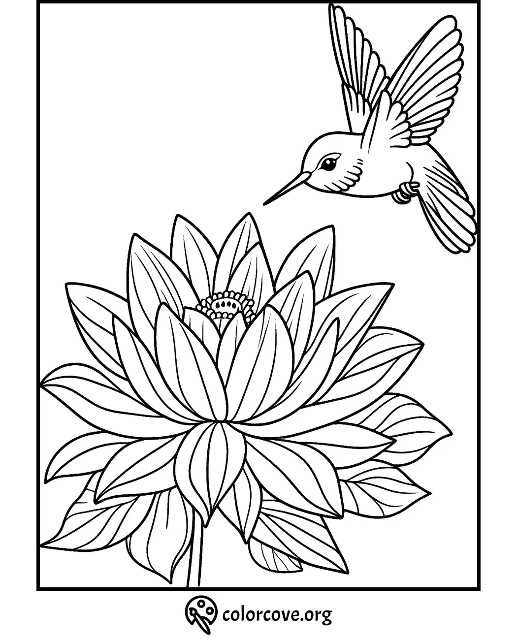 Hummingbird and lotus flower coloring page, perfect for a relaxing and creative activity for kids and adults.