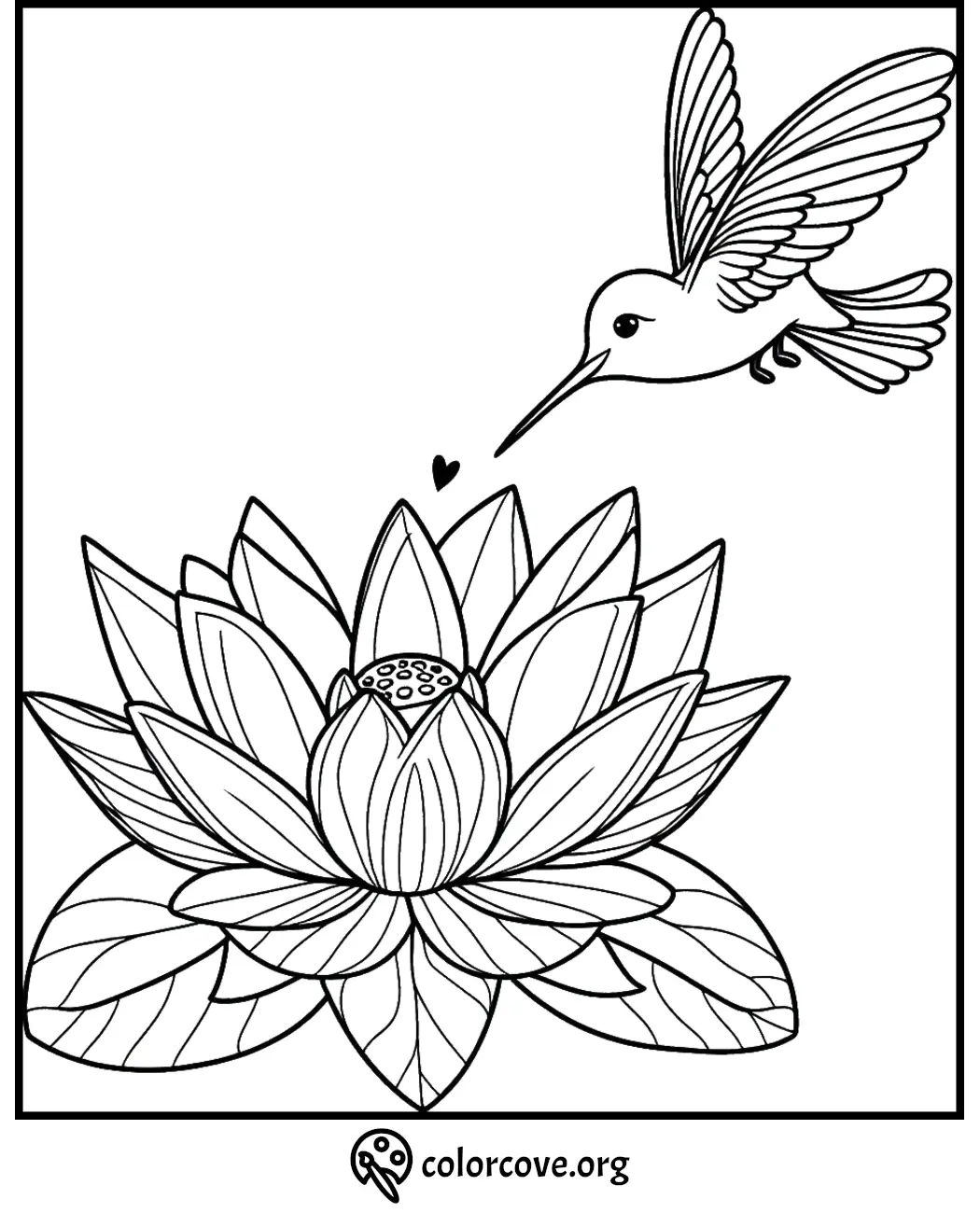 Coloring page featuring a hummingbird by a blooming lotus flower, perfect for relaxation and creativity.