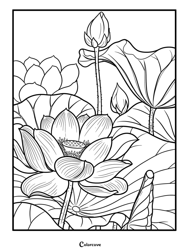 Detailed lotus flower coloring page featuring a blooming flower, buds, and large lily pads in a pond.